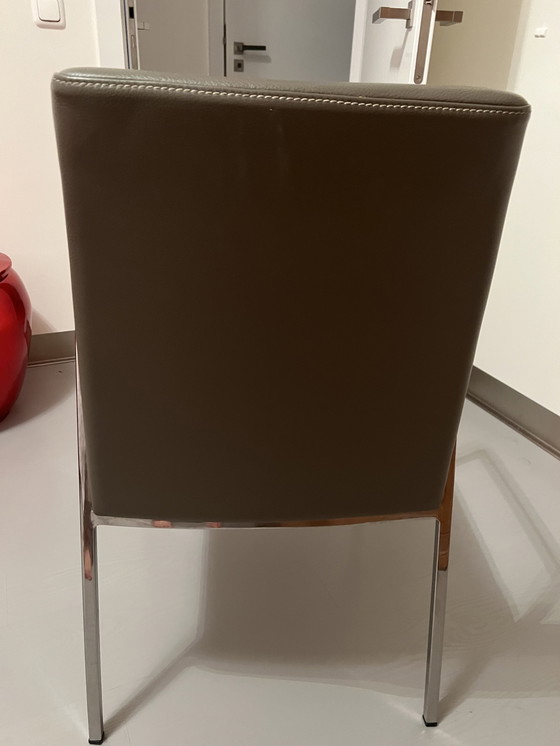 Image 1 of 4x Esszimmerstühle im Calligaris -Design