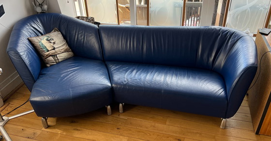 Image 1 of Leolux pupilla