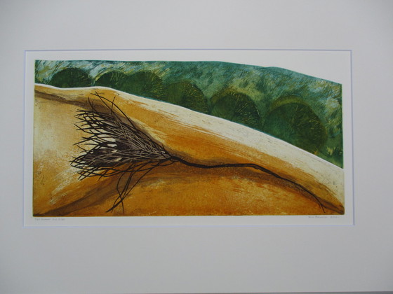 Image 1 of Ronald Beumer – Nimm den Sommer