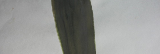 Image 1 of Ronald Noorman – Pastell/Gouache, gerahmt – 1999