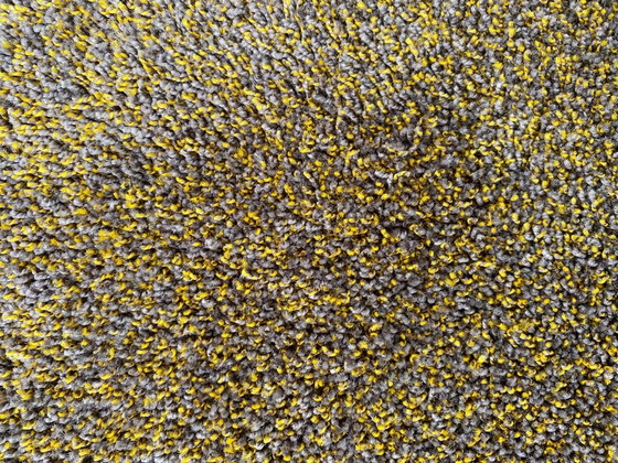 Image 1 of Desso-Teppich 275x375