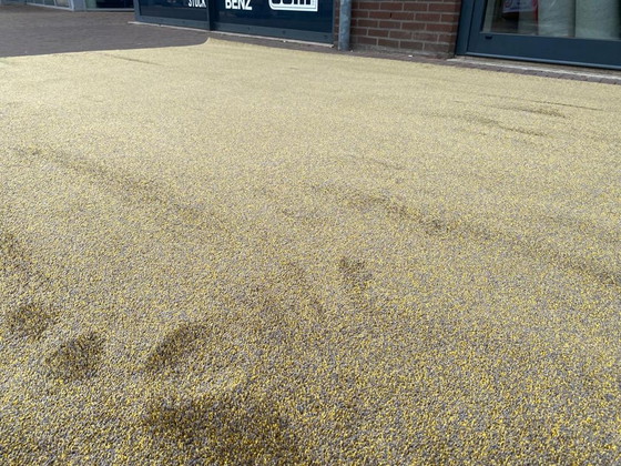 Image 1 of Desso-Teppich 275x375