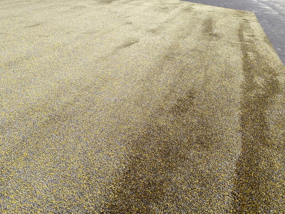 Image 1 of Desso-Teppich 275x375