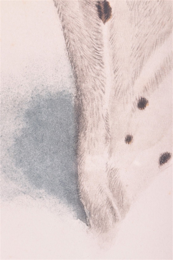 Image 1 of Französischer handgezeichneter Jagdhund mit Rebhuhn, Boris Riab 1898-1975