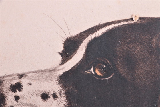 Image 1 of Französischer handgezeichneter Jagdhund mit Rebhuhn, Boris Riab 1898-1975