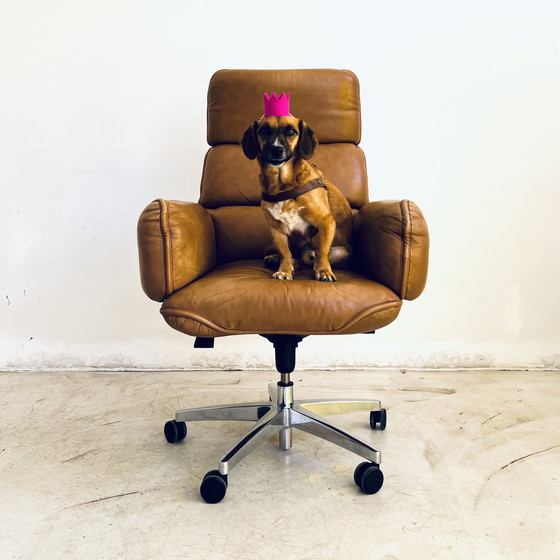 Image 1 of Otto Zapf „Consenso“ Chefsessel bürostuhl