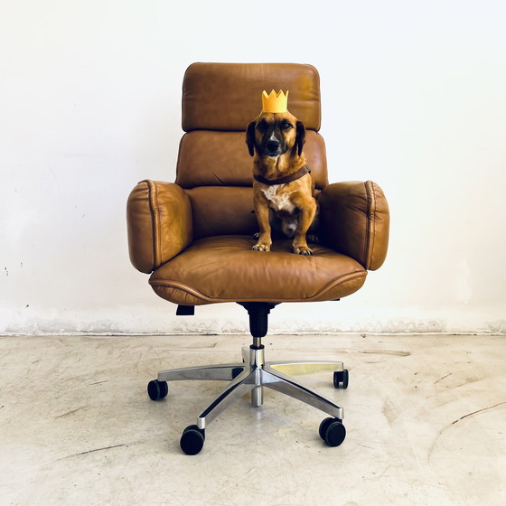 Image 1 of Otto Zapf „Consenso“ Chefsessel bürostuhl