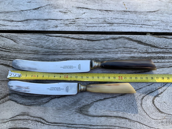 Image 1 of Francis Newton Sheffield Vintage Tafelmesser aus Hirschhorn