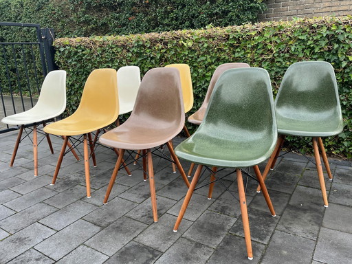 8x Eames Original Herman Miller DSW Glasfaser-Walnussdübelsockel