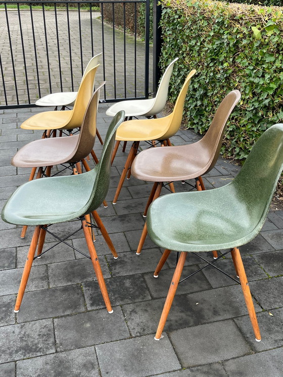 Image 1 of 8x Eames Original Herman Miller DSW Glasfaser-Walnussdübelsockel