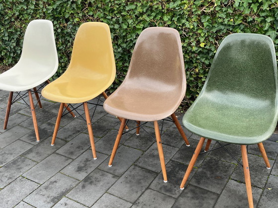 Image 1 of 8x Eames Original Herman Miller DSW Glasfaser-Walnussdübelsockel