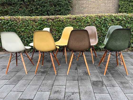 Image 1 of 8x Eames Original Herman Miller DSW Glasfaser-Walnussdübelsockel