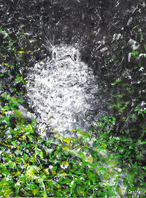 Image 1 of Maria Westra - junge Drossel