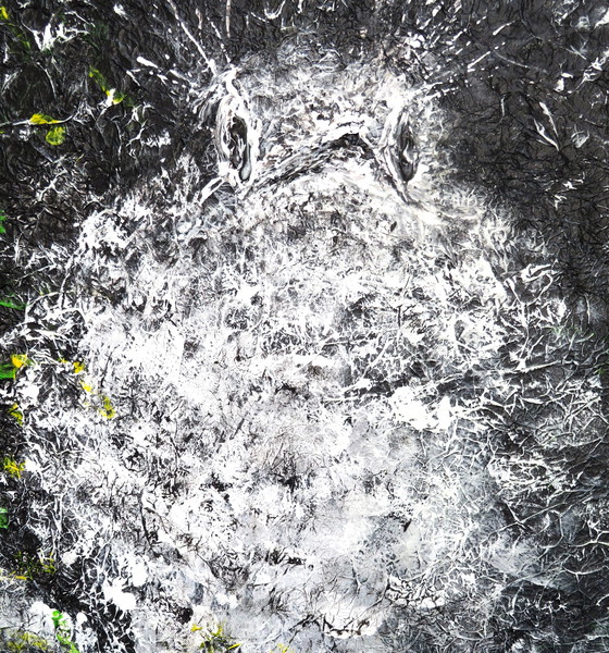 Image 1 of Maria Westra - junge Drossel