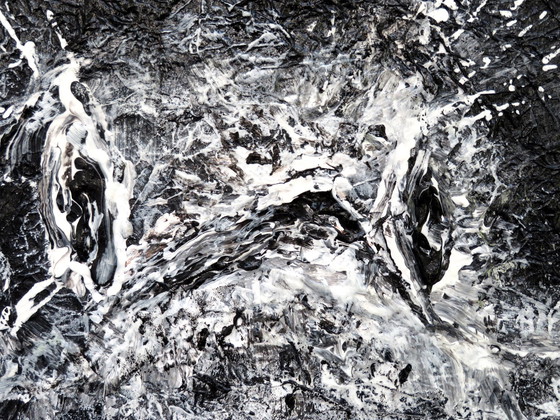 Image 1 of Maria Westra - junge Drossel