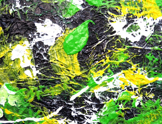 Image 1 of Maria Westra - junge Drossel