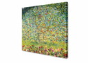 Gustav Klimt --- Apfelbaum