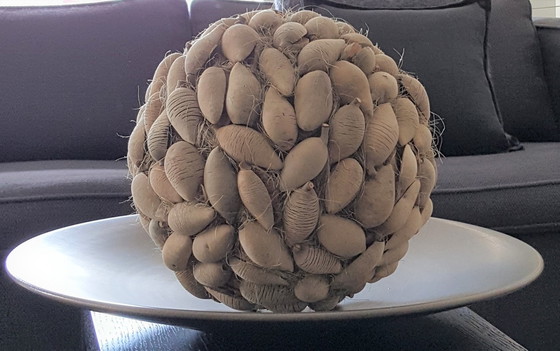 Image 1 of Wolterinck Laren Woody Birne