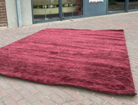 Image 1 of Brink & Campman Twinset-Ornament