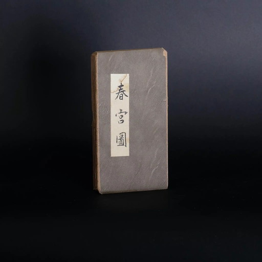 Vintage -Set mit 5 japanischen und chinesischen Shunga-Erotikkissenbüchern.