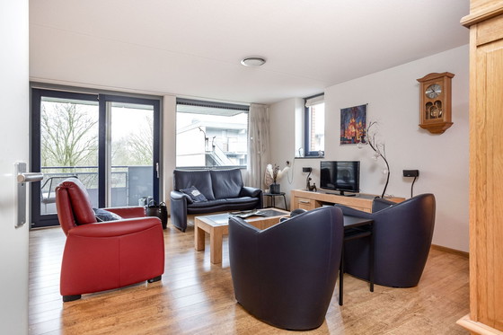 Image 1 of Leolux-Sessel