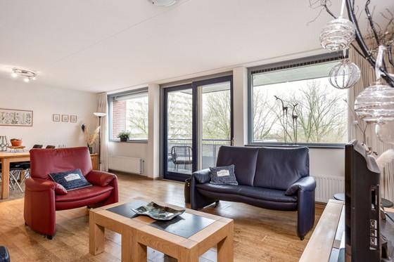 Image 1 of Leolux-Sessel