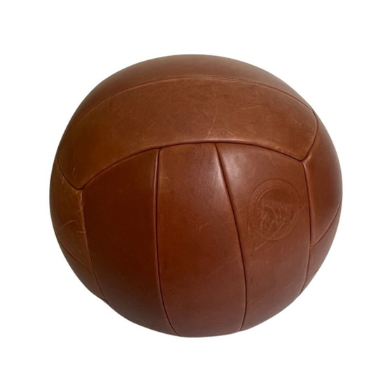 Image 1 of Studio Job – Montis – Ottomane – Playtime Volley – Leder