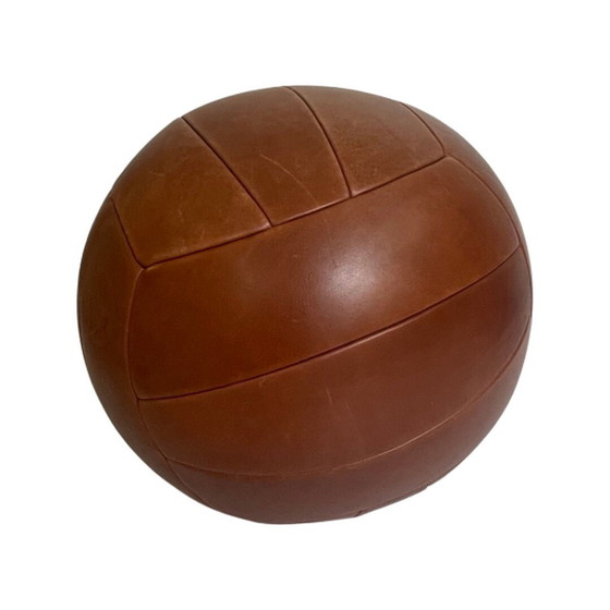 Image 1 of Studio Job – Montis – Ottomane – Playtime Volley – Leder