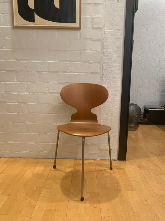 Image 1 of Arne Jacobsen FH - Mod. 3100 Ameise