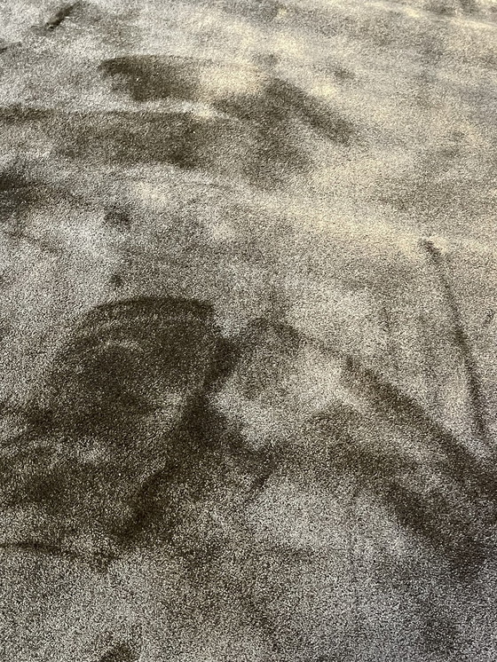 Image 1 of Brink & Campman Liscio-Teppich