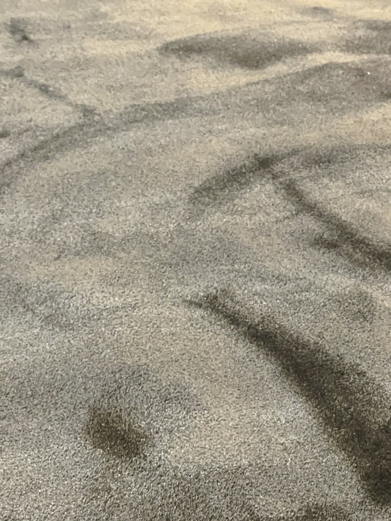 Image 1 of Brink & Campman Liscio-Teppich