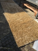 Living Carpets Modell Moos Fancy