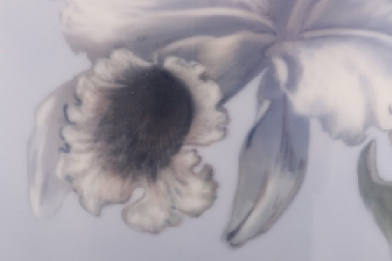 Image 1 of Royal Copenhagen Große Porzellanvase, bemalt mit der Trompetenblume.