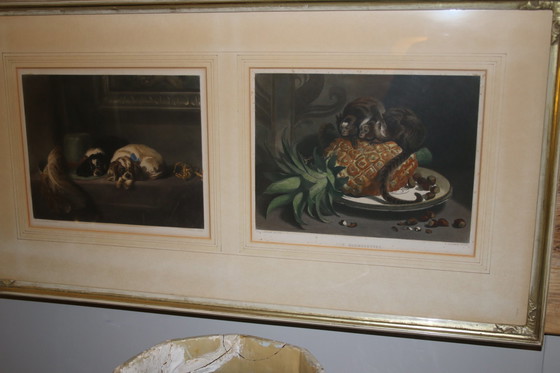 Image 1 of Wunderschöner Druck von Sir Edwin Landseer, wunderschöne Wanddekoration