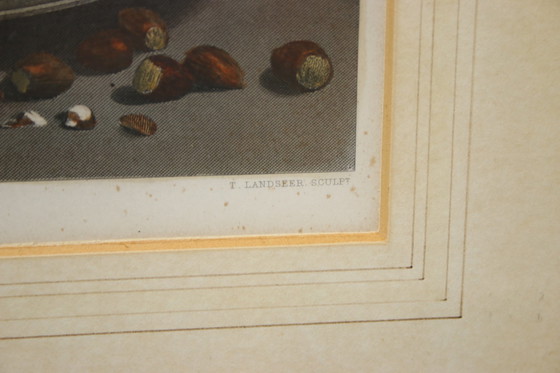 Image 1 of Wunderschöner Druck von Sir Edwin Landseer, wunderschöne Wanddekoration