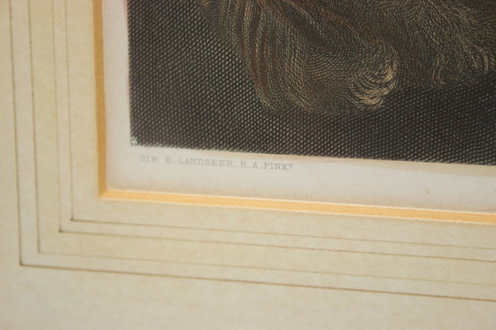 Image 1 of Wunderschöner Druck von Sir Edwin Landseer, wunderschöne Wanddekoration