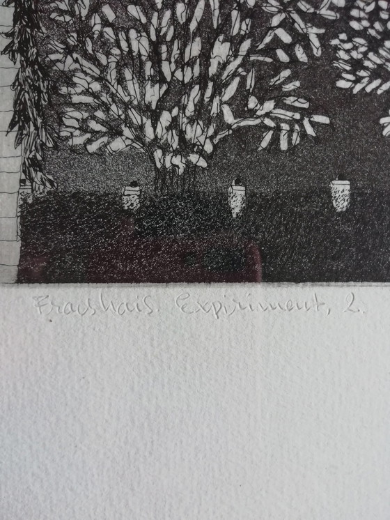 Image 1 of Frits Anton van der Horst – Fraishais-Experiment 2