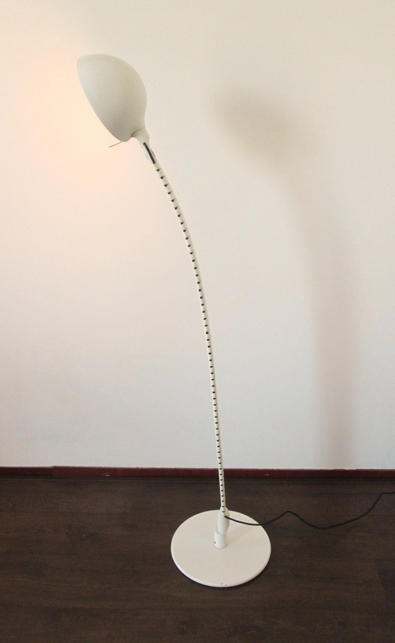 Image 1 of Martinelli 2164 Flex Terra Stehleuchte