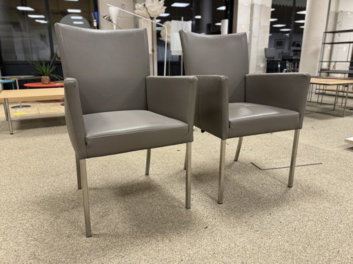 2 Bert Plantagie Flex Esszimmerstuhl Leder