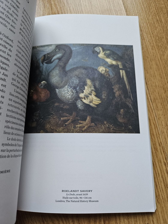 Image 1 of Abégédaire – Die Ursprünge der Welt