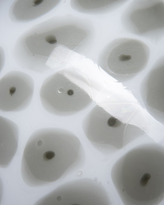 Image 1 of Stehlampe von La Murrina, Italien - 1960er Jahre