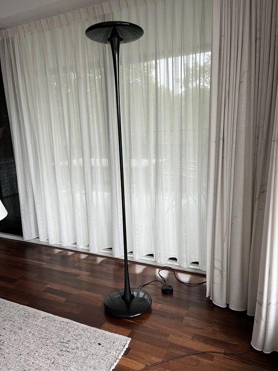 Image 1 of Flos Arteluce Stehleuchte