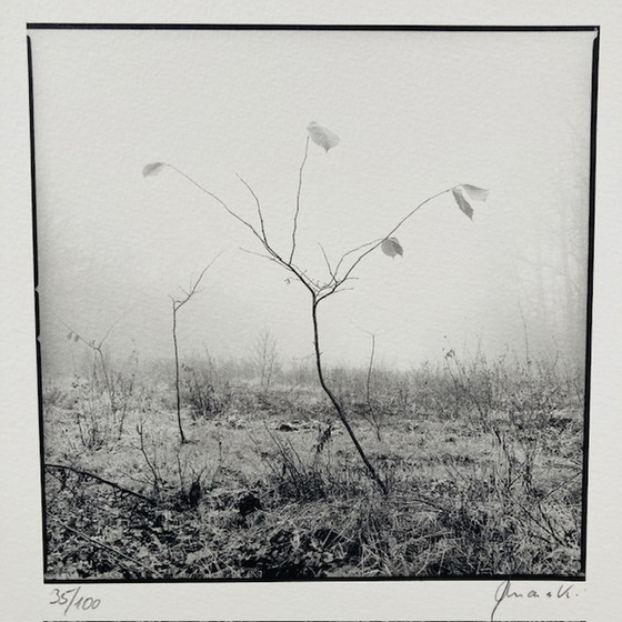 Image 1 of Ralph Janowski – Fotodruck ohne Titel