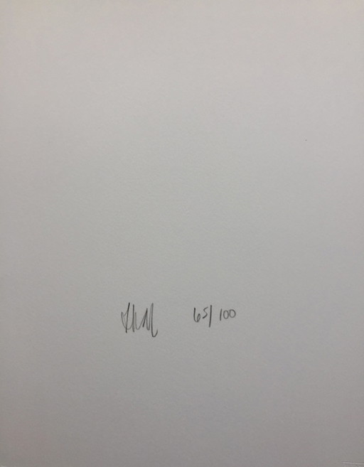 Diana Thater – Die Zukunft war eine Illusion