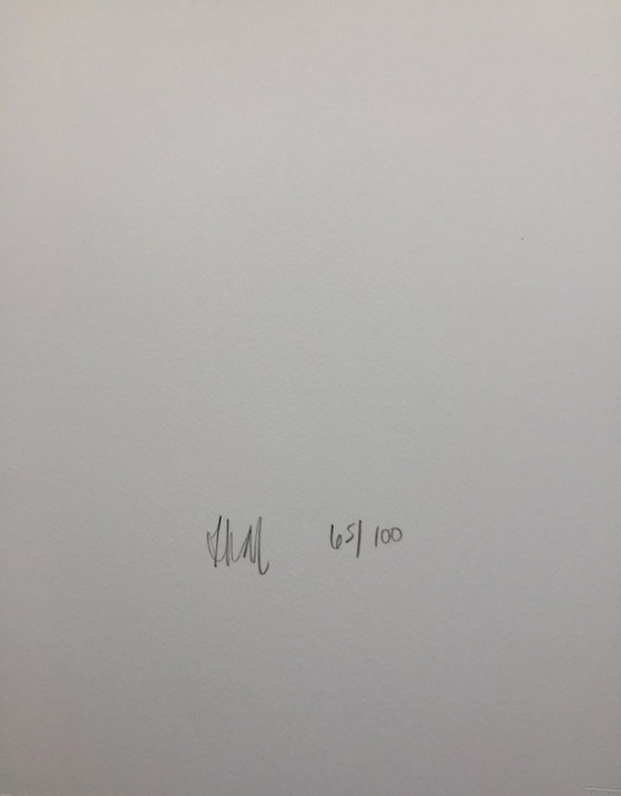 Image 1 of Diana Thater – Die Zukunft war eine Illusion