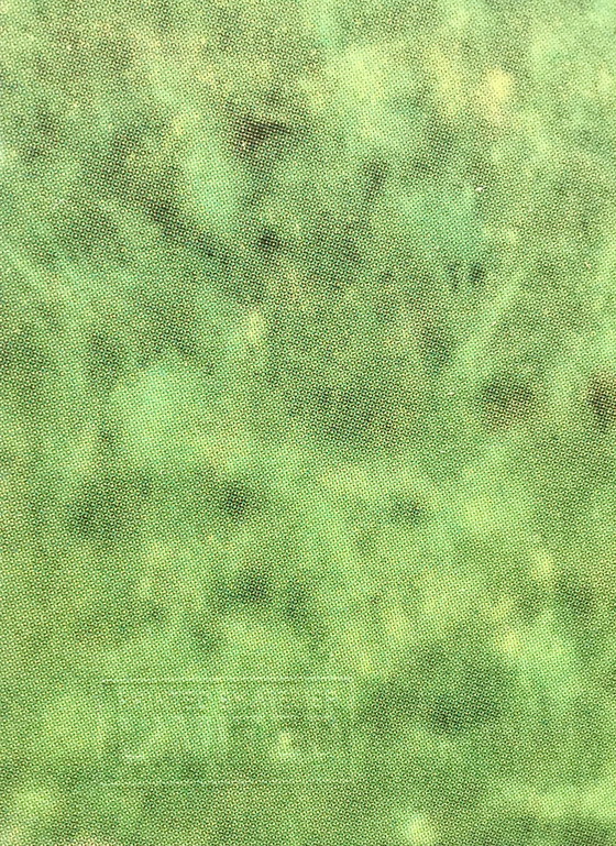 Image 1 of Diana Thater – Die Zukunft war eine Illusion