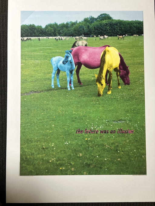 Diana Thater – Die Zukunft war eine Illusion