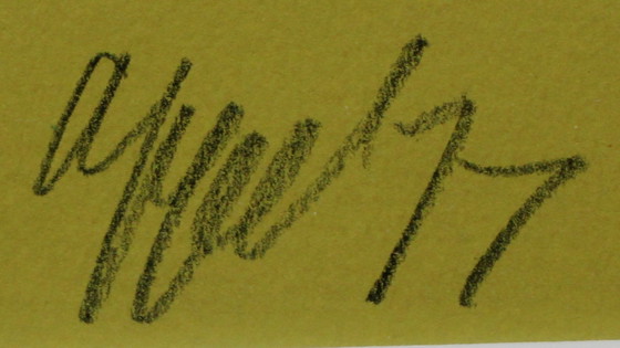 Image 1 of Karel Appel – Farbsiebdruck: Oiseau Hurlant – 1977