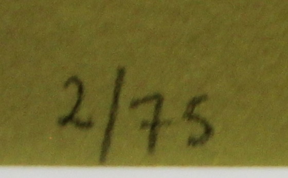 Image 1 of Karel Appel – Farbsiebdruck: Oiseau Hurlant – 1977