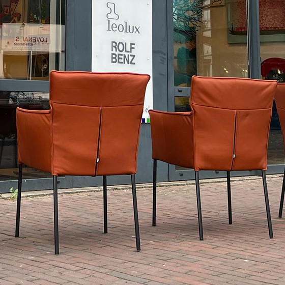 Image 1 of 6 x Design On Stock Stuhl Amra Cera Cognac